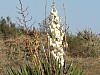 DSC00796