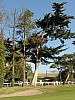DSC00826