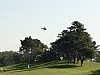 DSC00830