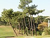 DSC00846