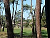 DSC00863