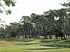 DSC00870