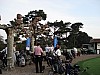 DSC05287